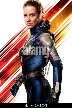 EVANGELINE LILLY IN ANT-MAN UND WASP (2018), REGIE: PEYTON REED. Kredit: MARVEL STUDIOS/Album Stockfoto