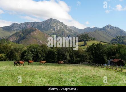 Asturien und Kantabrien sind bekannt für ihre Strände, aber der Zauber liegt in den Bergen des Picos de Europa Stockfoto