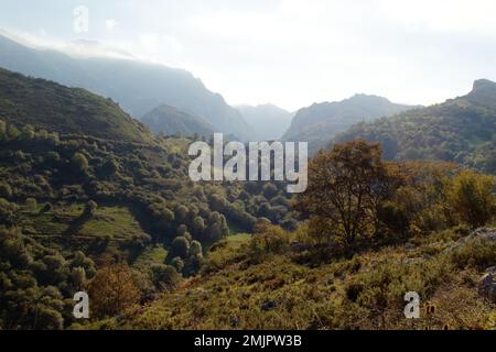 Asturien und Kantabrien sind bekannt für ihre Strände, aber der Zauber liegt in den Bergen des Picos de Europa Stockfoto