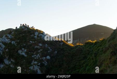 Asturien und Kantabrien sind bekannt für ihre Strände, aber der Zauber liegt in den Bergen des Picos de Europa Stockfoto