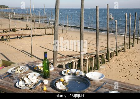 Meeresfrüchte-Austern am Canon Beach in Cap Ferret Arcachon Bay, Frankreich Stockfoto