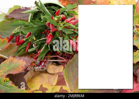 Verwelkte, getrocknete Blätter im Herbst in einem Hintergrundmodell mit Platz für Textkopien Stockfoto