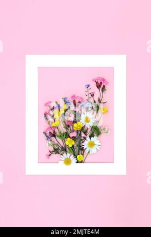 Englischer Wildblumenstrauß in weißem Bilderrahmen auf pinkfarbenem Hintergrund. Minimalistischer abstrakter Rand, wunderschöne Frühlingswelt mit Blumenkomposition. Stockfoto