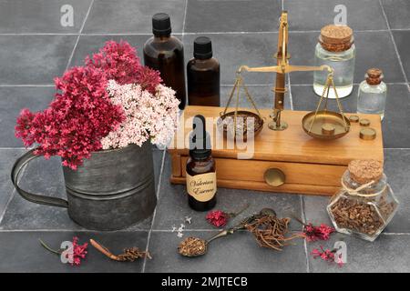 Baldrianwurzel zur Behandlung von Schlaflosigkeit, Angst, Stress, Kopfschmerzen, Menopause, Verdauungsprobleme mit ätherischen Ölflaschen, Apothekenwaagen, Blumen. Stockfoto