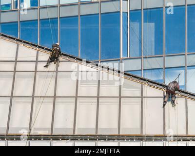 Zwei Kletterer mit Sicherheitsseilen reinigen Fenster oder reparieren Wände moderner Wolkenkratzer. Gefährliche Arbeit in der Metropole. Stockfoto