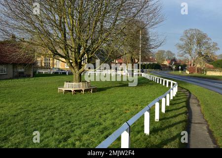 Hovingham Village, Ryedale, North Yorkshire Stockfoto