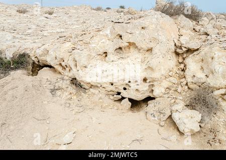 Kalksteinhügel auf Purple Island bei Al Khor in Katar Stockfoto