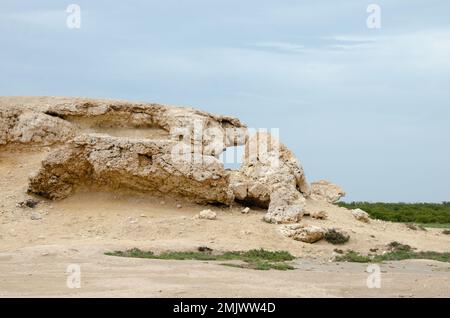 Kalksteinhügel auf Purple Island bei Al Khor in Katar Stockfoto