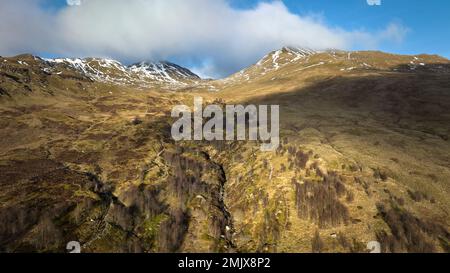 Der Edramucky Trail an den Hängen von Benin Ghlas im Ben Lawers National Nature Reserve, das 1990 abgezäunt wurde und die Auswirkungen der natürlichen Regenerierung zeigt. Stockfoto