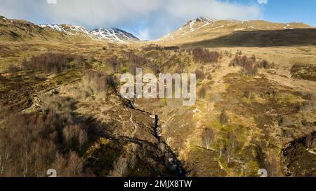 Der Edramucky Trail an den Hängen von Benin Ghlas im Ben Lawers National Nature Reserve, das 1990 abgezäunt wurde und die Auswirkungen der natürlichen Regenerierung zeigt. Stockfoto