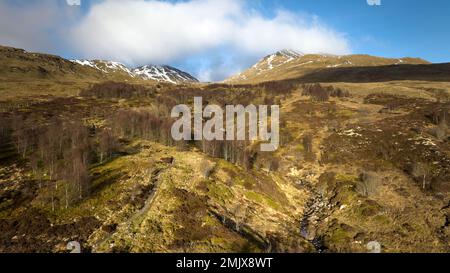 Der Edramucky Trail an den Hängen von Benin Ghlas im Ben Lawers National Nature Reserve, das 1990 abgezäunt wurde und die Auswirkungen der natürlichen Regenerierung zeigt. Stockfoto