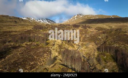 Der Edramucky Trail an den Hängen von Benin Ghlas im Ben Lawers National Nature Reserve, das 1990 abgezäunt wurde und die Auswirkungen der natürlichen Regenerierung zeigt. Stockfoto