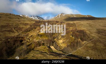 Der Edramucky Trail an den Hängen von Benin Ghlas im Ben Lawers National Nature Reserve, das 1990 abgezäunt wurde und die Auswirkungen der natürlichen Regenerierung zeigt. Stockfoto