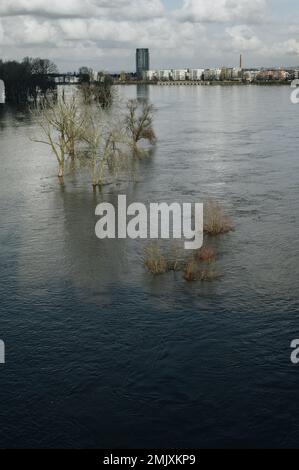 Hochwasser nach heftigen Regenfällen und Schneeschmelzen im Rheinland. Stockfoto