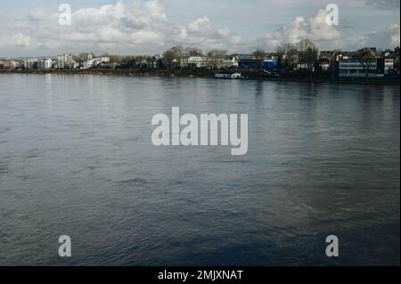 Hochwasser nach heftigen Regenfällen und Schneeschmelzen im Rheinland. Stockfoto