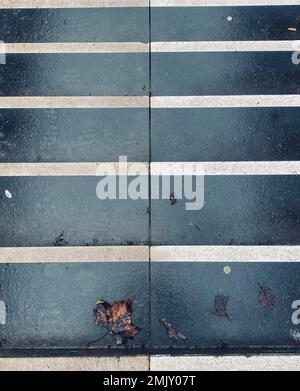 Rutschige Treppen im Herbst oder Winter Stockfoto