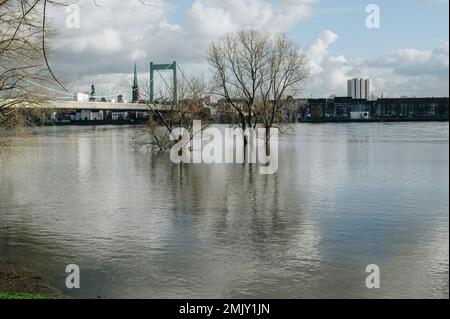 Hochwasser nach heftigen Regenfällen und Schneeschmelzen im Rheinland. Stockfoto