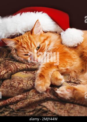 Die süße Ingwerkatze im Weihnachtsmann-Hut schläft auf einem bunten Schal. Flauschiges Haustier mit Neujahrsdekoration ist bereit für die Weihnachtsfeier. Stockfoto