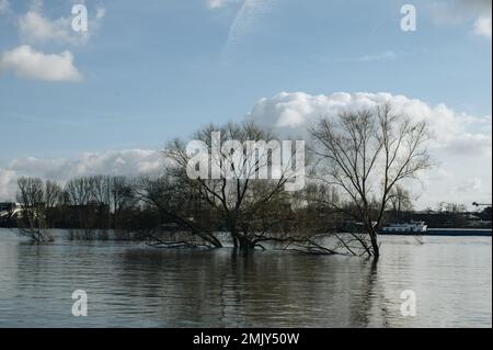 Hochwasser nach heftigen Regenfällen und Schneeschmelzen im Rheinland. Stockfoto