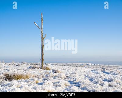 Hoar Frost am Dreigabelmast, Hoar Edge, Clee Hill Common, Shropshire. Ein historischer Wegpunkt und Treffpunkt von drei lokalen Gemeinden. Stockfoto