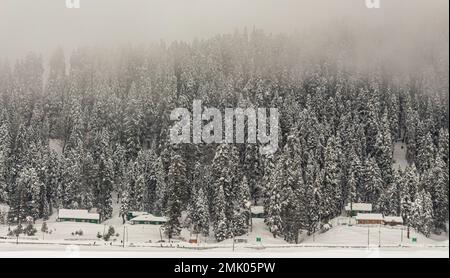 Wunderschöner Blick auf Gulmarg während der Wintersaison, umgeben von schneegefrorenen Himalaya-Gletscherbergen und grünen Tannen und Kiefern im Wald von Gulmarg. Stockfoto