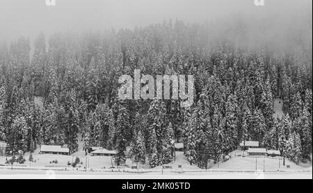 Wunderschöner Blick auf Gulmarg während der Wintersaison, umgeben von schneegefrorenen Himalaya-Gletscherbergen und grünen Tannen und Kiefern im Wald von Gulmarg. Stockfoto