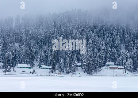 Wunderschöner Blick auf Gulmarg während der Wintersaison, umgeben von schneegefrorenen Himalaya-Gletscherbergen und grünen Tannen und Kiefern im Wald von Gulmarg. Stockfoto