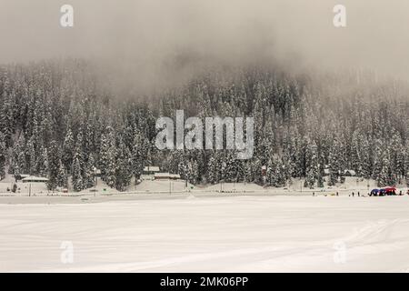 Wunderschöner Blick auf Gulmarg während der Wintersaison, umgeben von schneegefrorenen Himalaya-Gletscherbergen und grünen Tannen und Kiefern im Wald von Gulmarg. Stockfoto