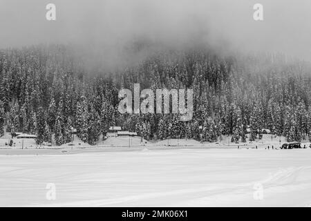 Wunderschöner Blick auf Gulmarg während der Wintersaison, umgeben von schneegefrorenen Himalaya-Gletscherbergen und grünen Tannen und Kiefern im Wald von Gulmarg. Stockfoto