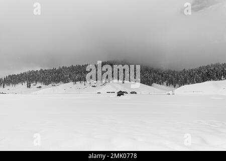 Wunderschöner Blick auf Gulmarg während der Wintersaison, umgeben von schneegefrorenen Himalaya-Gletscherbergen und grünen Tannen und Kiefern im Wald von Gulmarg. Stockfoto