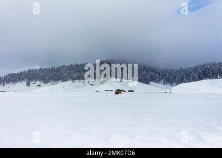 Wunderschöner Blick auf Gulmarg während der Wintersaison, umgeben von schneegefrorenen Himalaya-Gletscherbergen und grünen Tannen und Kiefern im Wald von Gulmarg. Stockfoto