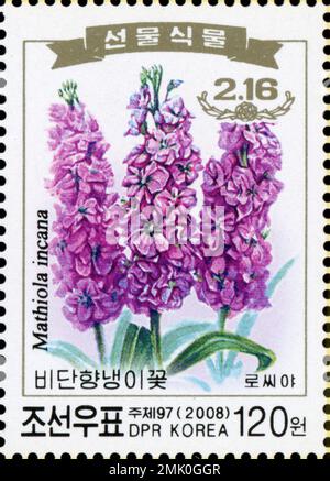 2008 Nordkorea Stempelsatz. Kim Jong Il zum 66. Geburtstag. Blumen. Matthiola incana, Stammaktien. Stockfoto