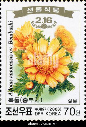 2008 Nordkorea Stempelsatz. Kim Jong Il zum 66. Geburtstag. Blumen. Amur adonis. Adonis amurensis cv. Benibushi Stockfoto