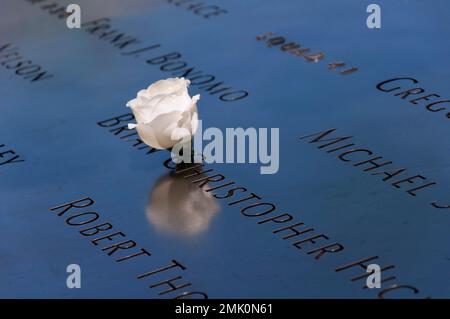 11. Juni 2017. New york City, New york. Eine einzelne weiße Rose auf den Namen der Opfer auf dem 9,11. Denkmal in New York City. Stockfoto
