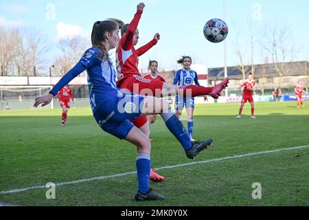 Oostakker, Belgien. 28. Januar 2023 Fran Meersman (5) von Gent und Charlotte Catinus (18) von Standard bildeten den Kampf um den Ball während eines Fußballspiels zwischen AA Gent Ladies und Standard Femina De Liege am 18. Spieltag der Saison 2022 - 2023 der belgischen Lotto Womens Super League, Am Samstag , den 28 . Januar 2023 in Oostakker , BELGIEN . FOTO SPORTPIX | David Catry Kredit: David Catry/Alamy Live News Stockfoto