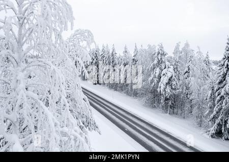 Eisige Straße inmitten des gefrorenen, verschneiten Waldes, Lappland, Finnland Stockfoto
