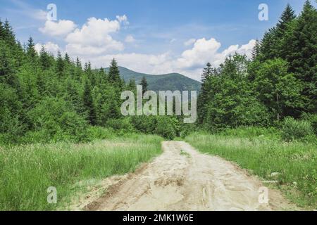 Waldstraße in den Karpaten in der Ukraine Stockfoto