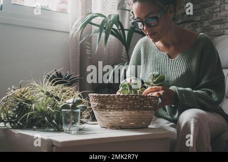 Porträt einer glücklichen Gärtnerin, die im Heimgarten arbeitet, hält Samen in den Pflanzen und sät Samen in Torftöpfen in Holztischhallen aus. Leute im Haus Stockfoto