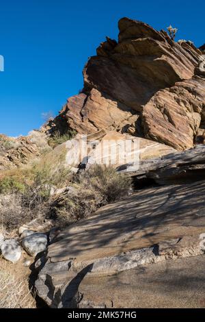 Palm Springs, USA. 12. November 2022. Palm Springs California Indian Canyons. Stockfoto