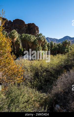 Palm Springs, USA. 12. November 2022. Palm Springs California Indian Canyons. Stockfoto