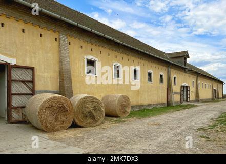 Die Magyar Cowboy Ranch befindet sich in Dunapataj, Bács-Kiskun-Kiskun, Ungarn, 60 Meilen von Budapest entfernt. Pferdeshows, Demonstrationen, Wagenfahrten und Scheunen. Stockfoto