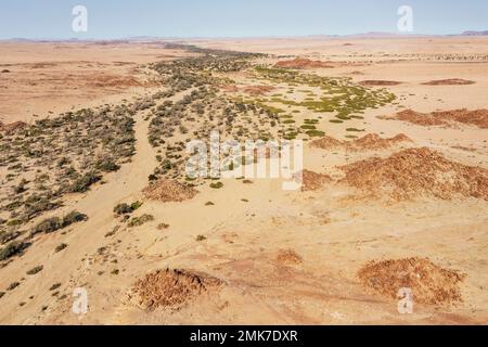 Das trockene Flussbett des Ugab führt durch trockene Wüstenebenen, Luftaufnahme, Drohnenschuss, Damaraland, Namibia Stockfoto