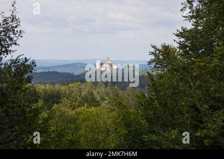 Südblick auf Wartburg, Aussichtspunkt hohe Sonne, Eisenach, Thüringen, Deutschland Stockfoto
