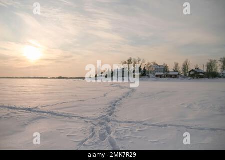 Kalter Wintertag mit meinem Akita Inn Hund auf gefrorenem Meer in Kotka, Finnland. Viel Schnee und kalter Wind Stockfoto