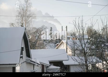 Kalter Wintertag mit meinem Akita Inn Hund auf gefrorenem Meer in Kotka, Finnland. Viel Schnee und kalter Wind Stockfoto