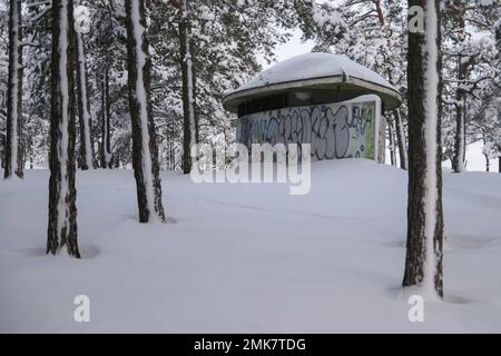 Kalter Wintertag mit meinem Akita Inn Hund auf gefrorenem Meer in Kotka, Finnland. Viel Schnee und kalter Wind Stockfoto