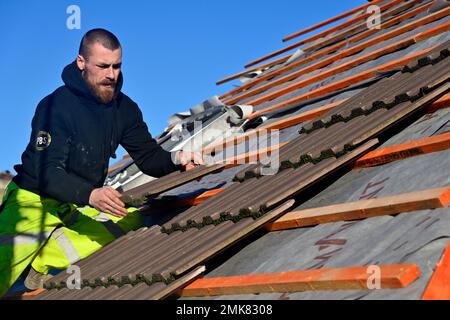 BR230120 DHA3351 Stockfoto