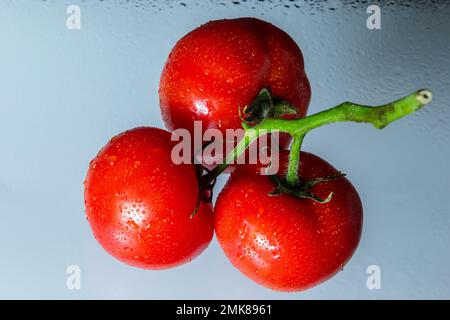 Rote Tomaten mit grünem Ausschnitt und Wassertropfen nach dem Waschen auf hellem Hintergrund. Stockfoto