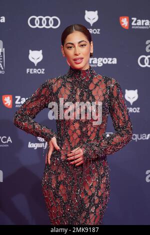 Saragossa, Spanien. 28. Januar 2023. Schauspielerin Mina El Hammani bei der Fotokonferenz für die jährlichen Feroz Awards 10. in Zarag Credit: CORDON PRESS/Alamy Live News Stockfoto