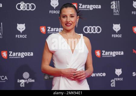 Saragossa, Spanien. 28. Januar 2023. Bei einer Fotokonferenz für die 10. Jährlichen Feroz Awards in Zaragoza am Samstag, den 28. Januar 2023 Kredit: CORDON PRESS/Alamy Live News Stockfoto